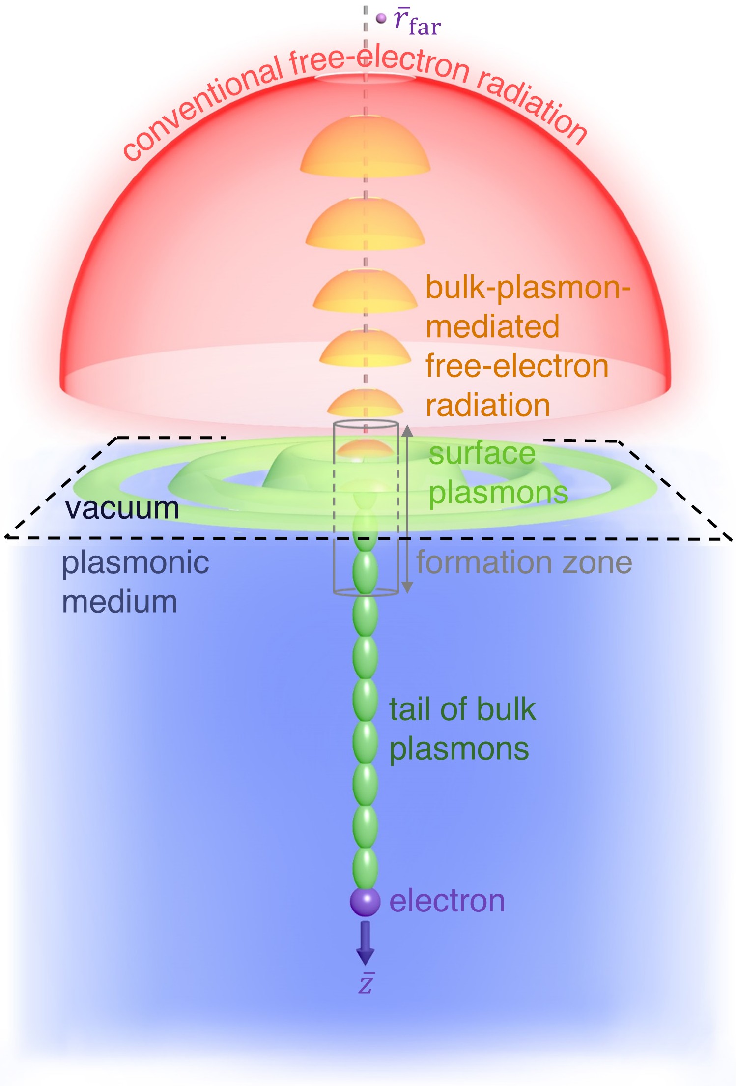 Bulk-Plasmon-Mediated Free-Electron Radiation Beyond the Conventional Formation Time